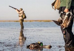 شکار؛ بزرگترین تهدید برای اکوسیستم تالاب انزلی