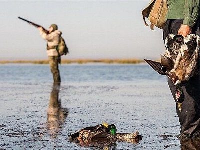 شکار؛ بزرگترین تهدید برای اکوسیستم تالاب انزلی