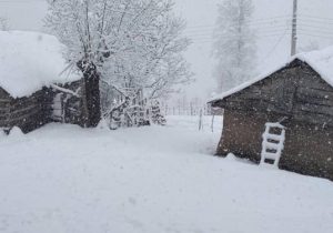 بارش شدید برف در ارتفاعات گیلان/ هوای استان به‌تدریج صاف می‌شود