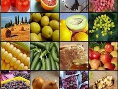 سهم ۶۸ درصدی محصولات کشاورزی گیلان در سبد صادراتی