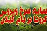 سایه سرخ ویروس تاجدار بر بام گیلان/ انتقاد نمایندگان مجلس از یک سو و شرمندگی از سوی دیگر