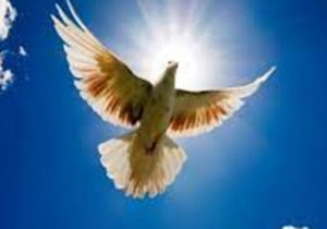 زندانیان گیلانی چشم به راه نیکوکاران