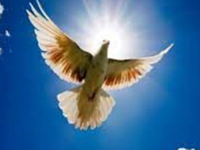 زندانیان گیلانی چشم به راه نیکوکاران