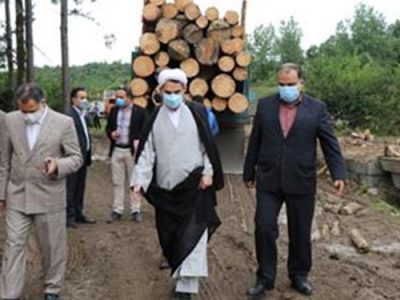 حضور میدانی و قاطع دستگاه قضا مانع قطع درختان شفت شد