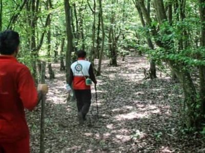 نجات ۴ فرد‌ گمشده در جنگل‌های گیلان