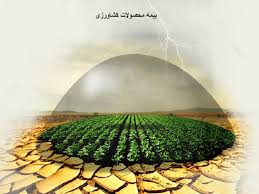 تمدید فروش بیمه نامه محصولات باغی و تنه درختان