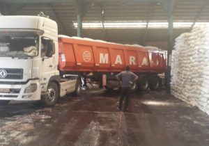 صدور بیش از ۶۰۰۰۰ حواله الکترونیک توزیع کودهای کشاورزی شیمیایی در استان گیلان