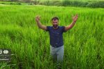 افزایش ۱۵ درصدی تولید برنج در کشور با اجرای نهضت جهش تولید