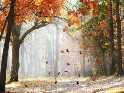 باد گرم» میهمان گیلانی‌ها تا پایان هفته