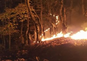 شعلهور شدن دوباره حریق در جنگلهای رودبار