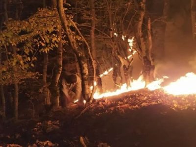 شعلهور شدن دوباره حریق در جنگلهای رودبار