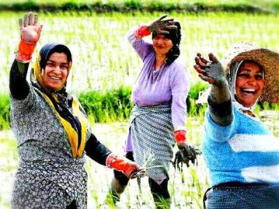 پرداخت تسهیلات قرض‌الحسنه به مستمری بگیران صندوق بیمه اجتماعی کشاورزان، روستائیان و عشایر گیلانی