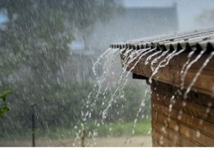 گیلان از امشب بارانی میشود