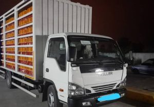 شبی تلخ برای سودا گران مرغ زنده