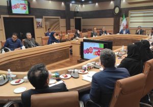 ضرورت راه‌اندازی کلینیک ویژه سالمندی در گیلان/ راه‌اندازی رشته «پرستاری سالمندی» یک مطالبه است