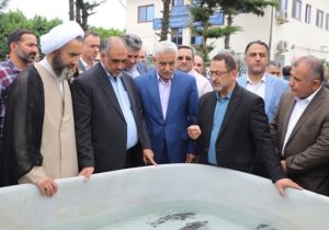 ماهیان خاویاری خزر در دنیا بی‌نظیرند