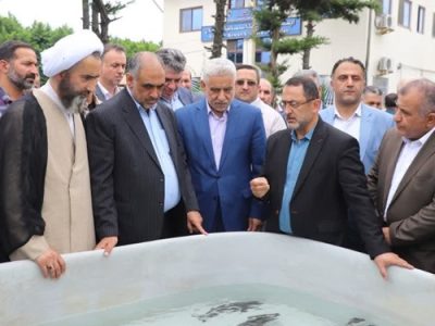 ماهیان خاویاری خزر در دنیا بی‌نظیرند