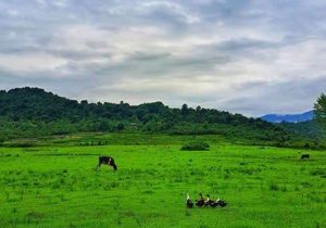 هواشناسی گیلان نوید خنکای هوای استان را داد