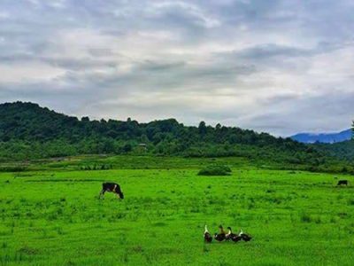 هواشناسی گیلان نوید خنکای هوای استان را داد