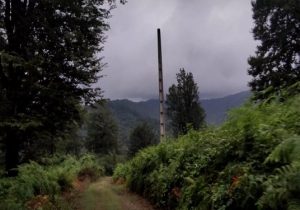 «رودبارسرا» نمادی از خشم علیه جنگل‌نشینان/ آیا فریادرسی برای تظلم خواهی هست؟