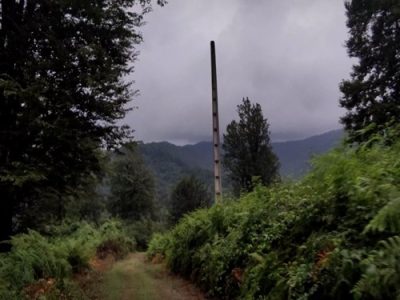 «رودبارسرا» نمادی از خشم علیه جنگل‌نشینان/ آیا فریادرسی برای تظلم خواهی هست؟