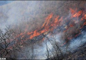 آتش‌سوزی جنگل‌های هفت‌دغنان مهار شد