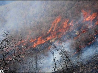 آتشسوزی جنگلهای هفتدغنان مهار شد