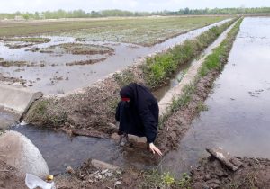 پوشش بانوی ایرانی میراث مادرانه