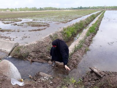 پوشش بانوی ایرانی میراث مادرانه