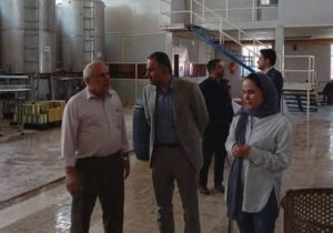 محبوبی: اجرای تصفیه خانه شهرک صنعتی لوشان از اهمیت ویژه ای برخوردار است