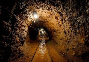 استخوان بزرگی که در گلوی سنگرود گیر کرد