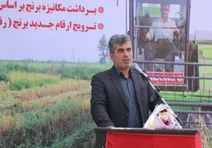 چطور میتوان در برنج خودکفا بود؟