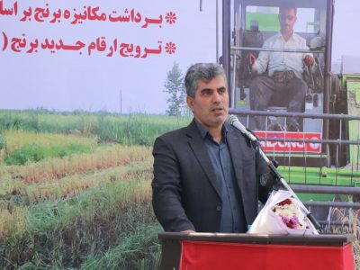 چطور میتوان در برنج خودکفا بود؟