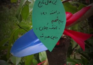 اینفوگرافیک | خوب‌ها ماندگارند