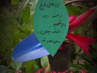 اینفوگرافیک | خوب‌ها ماندگارند