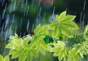 آغاز بارش‌های شدید باران در استان طی امروز و فردا