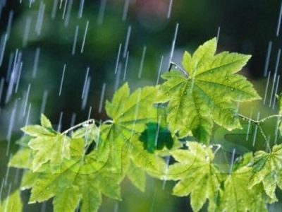 آغاز بارش‌های شدید باران در استان طی امروز و فردا