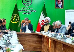 تولید سالانه ۳٫۵ میلیون تن محصولات کشاورزی در گیلان