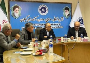 نیمی از معادن گیلان غیرفعال هستند