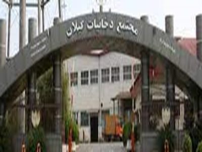 انتظار تولید و اشتغال از مجتمع دخانیات گیلان