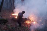 آتش باز هم به جان جنگل‌های گیلان افتاد