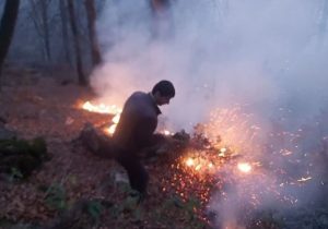 آتش باز هم به جان جنگلهای گیلان افتاد