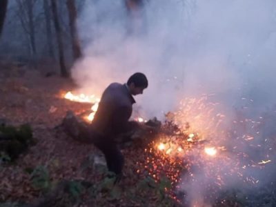 آتش باز هم به جان جنگلهای گیلان افتاد