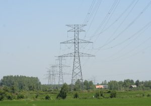 ۷۲٫۵ درصد حوادث سطح ولتاژ انتقال، ناشی از درختان بوده است