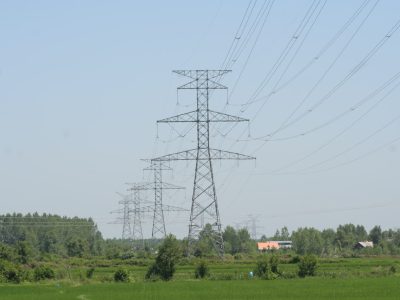 ۷۲٫۵ درصد حوادث سطح ولتاژ انتقال، ناشی از درختان بوده است