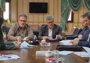 نقش تغییر سبک زندگی در افزایش سقط‌جنین/ کنترل سقط در گیلان دشوار اما ممکن است