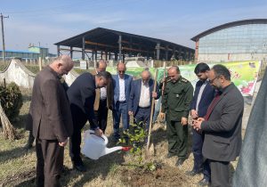 سبز شدن درخت توأمان با تولید و اشتغال در شهرکهای صنعتی گیلان