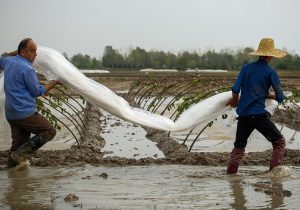 هشدار هواشناسی گیلان از شدت بارش‌ها در استان