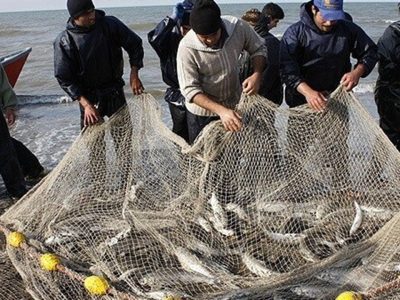 پهن شدن زودهنگام تورهای صیادان غرب گیلان در خزر