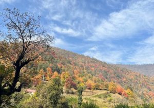 سلام گرم گیلانی ها به زمستان